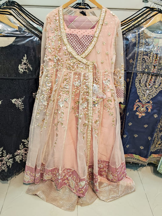 Royal embroided Organza